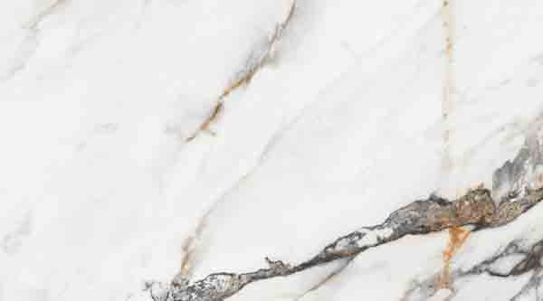 1219 Calacata Gold Pulido 40x120